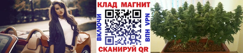 Наркотические вещества Отрадная Alpha-PVP  МЕФ  ГАШИШ  Конопля  kraken маркетплейс  COCAIN 