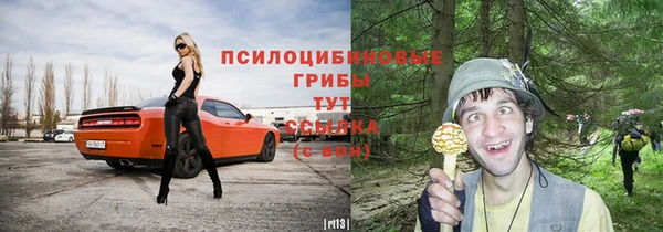 МДПВ Алзамай
