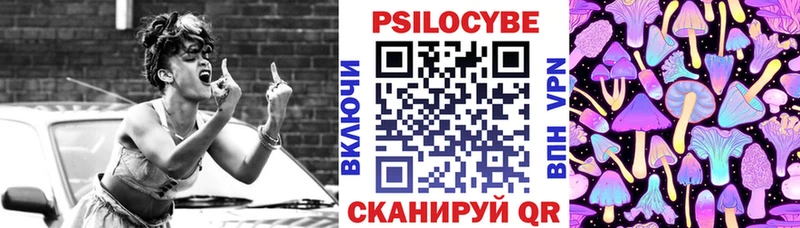 где купить   Отрадная  Галлюциногенные грибы GOLDEN TEACHER 